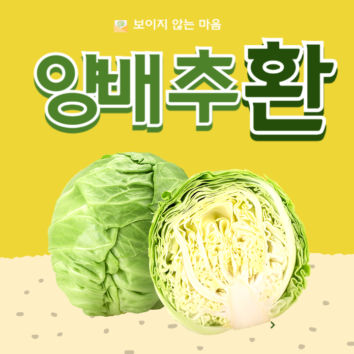 양배추환 효능 부작용 복용법 추천 3가지